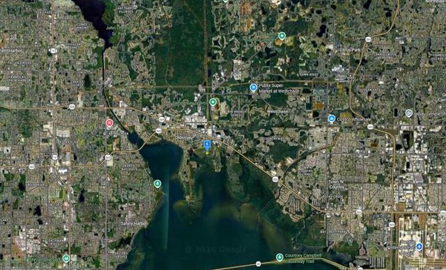 910 WAVERLY ST AVENUE, Oldsmar, FL 34677