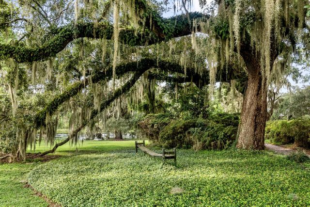 1185 Poco Sabo Lane, Green Pond, SC 29446