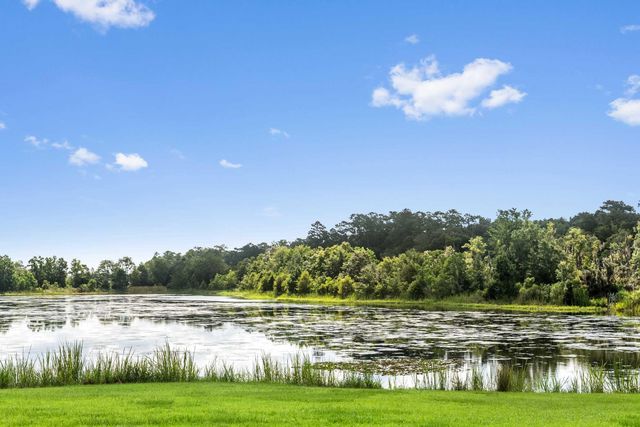 1185 Poco Sabo Lane, Green Pond, SC 29446