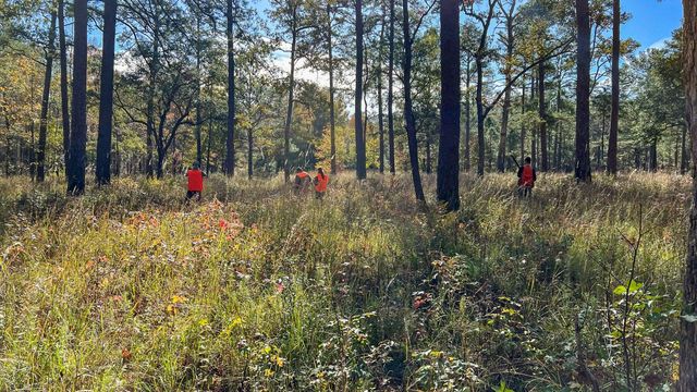 1185 Poco Sabo Lane, Green Pond, SC 29446