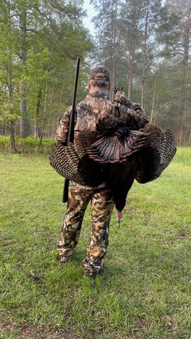 1185 Poco Sabo Lane, Green Pond, SC 29446