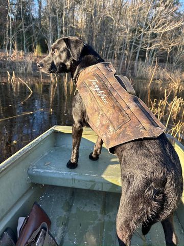 1185 Poco Sabo Lane, Green Pond, SC 29446