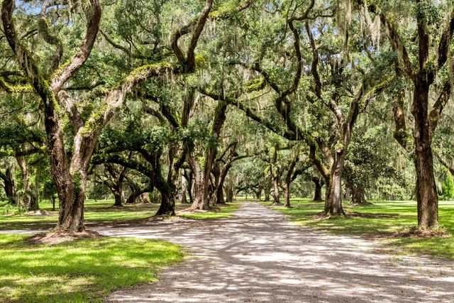 1185 Poco Sabo Lane, Green Pond, SC 29446