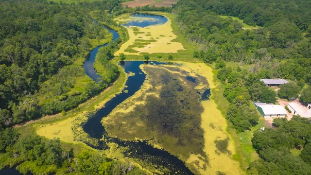 1185 Poco Sabo Lane, Green Pond, SC 29446