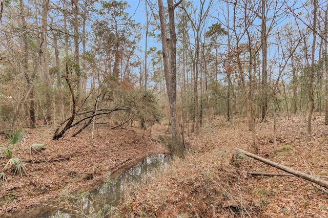 7261 Forest Hills Drive, Montgomery, TX 77316