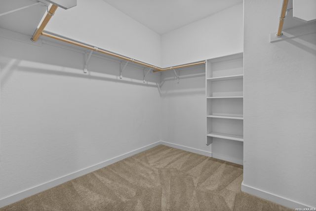 1906 Wood Warbler, New Braunfels, TX 78130