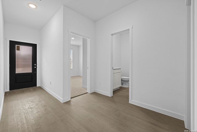 1906 Wood Warbler, New Braunfels, TX 78130