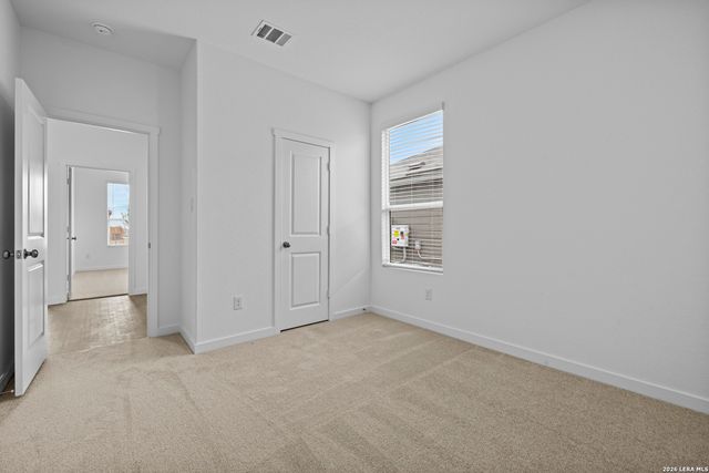 1906 Wood Warbler, New Braunfels, TX 78130