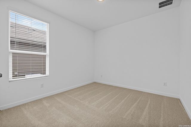 1906 Wood Warbler, New Braunfels, TX 78130