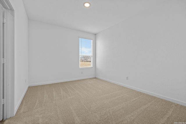 1906 Wood Warbler, New Braunfels, TX 78130