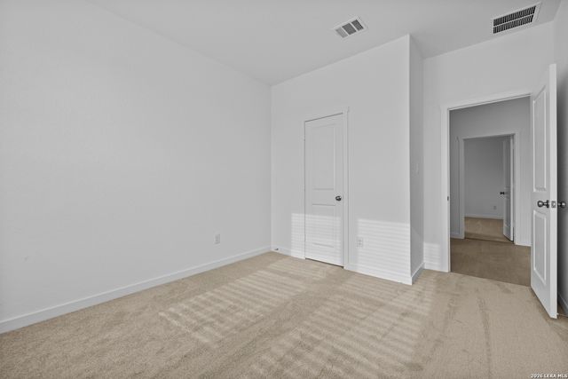 1906 Wood Warbler, New Braunfels, TX 78130