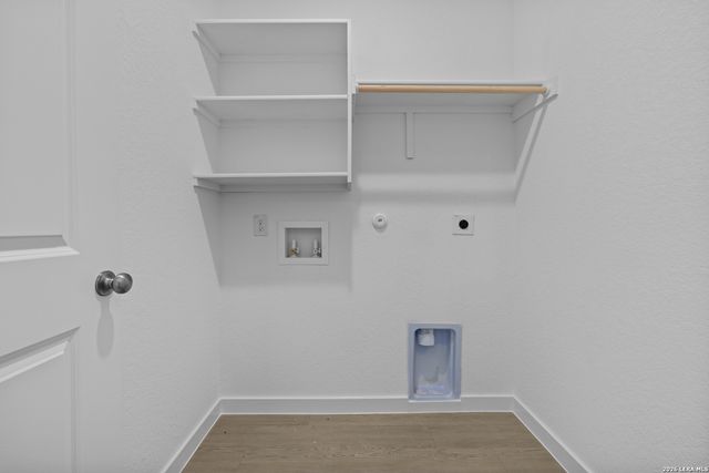 1906 Wood Warbler, New Braunfels, TX 78130