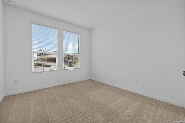 1906 Wood Warbler, New Braunfels, TX 78130