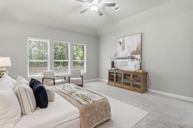 219 Old Pines Lane, Magnolia, TX 77354