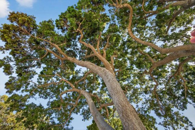 1721 Joanne Way, Oxnard, CA 93030