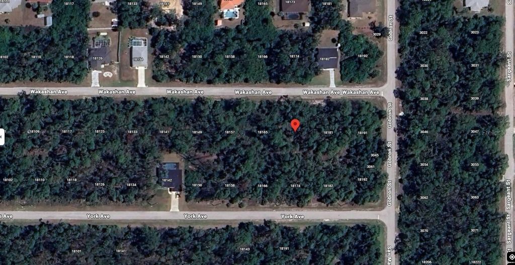 18173 WAKASHAN AVENUE, Port Charlotte, FL 33948