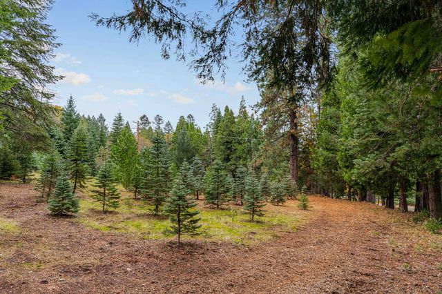 2740 Mace Rd, Camino, CA 95709