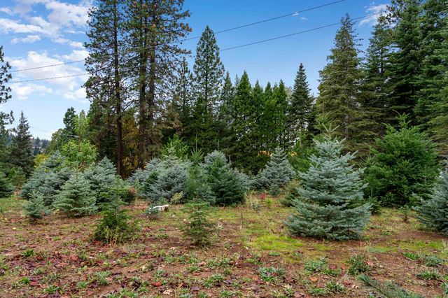 2740 Mace Rd, Camino, CA 95709