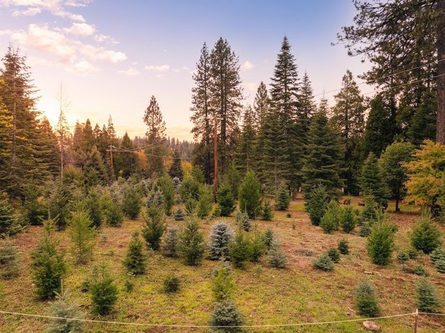 2740 Mace Rd, Camino, CA 95709