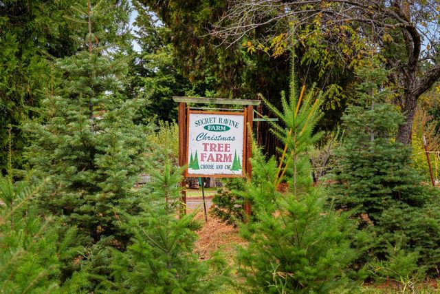 2740 Mace Rd, Camino, CA 95709