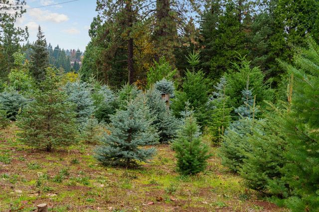 2740 Mace Rd, Camino, CA 95709