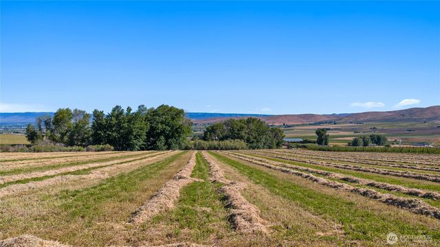 2 Borland, Ellensburg, WA 98926