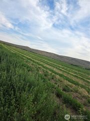 2 Borland, Ellensburg, WA 98926