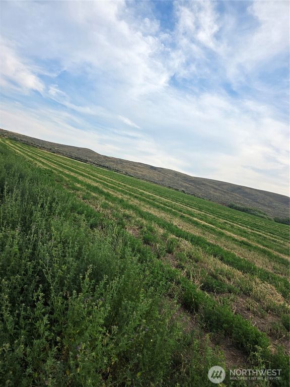 2 Borland, Ellensburg, WA 98926