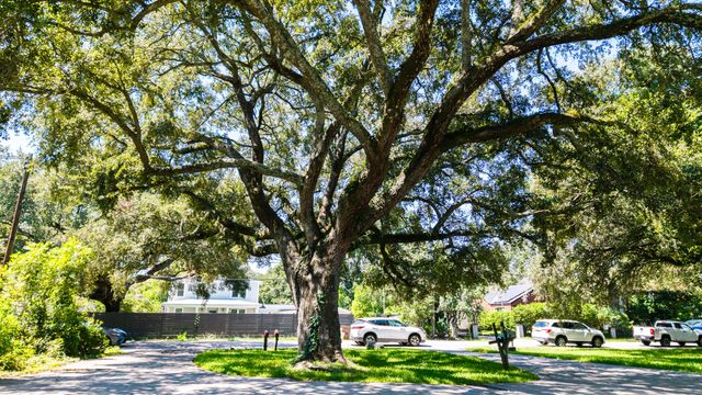 428 Riverland Drive A & B, Charleston, SC 29412
