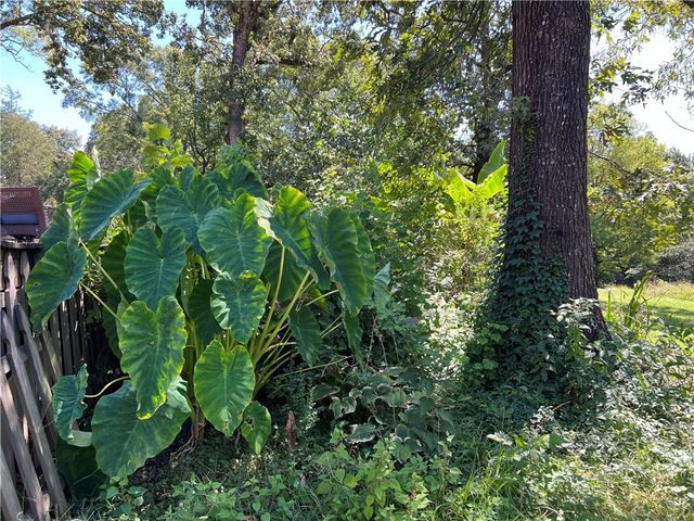 11115 W State HWY 155, Dardanelle, AR 72834