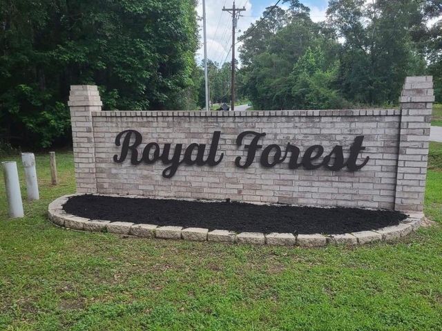 10731 Royal Terrell Drive, Conroe, TX 77303