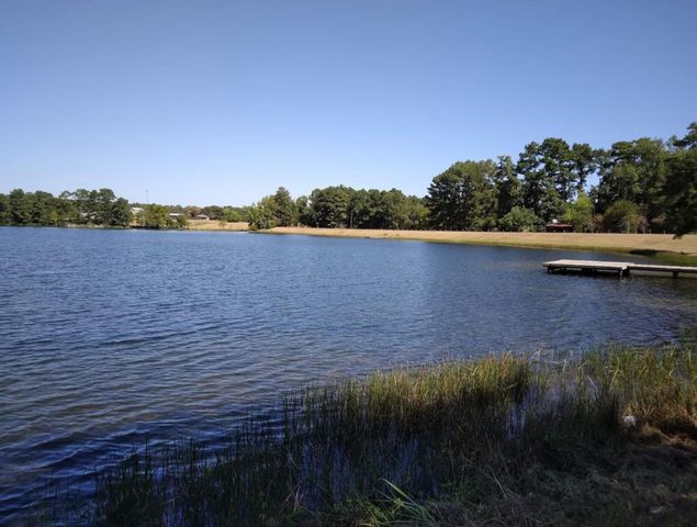 10731 Royal Terrell Drive, Conroe, TX 77303