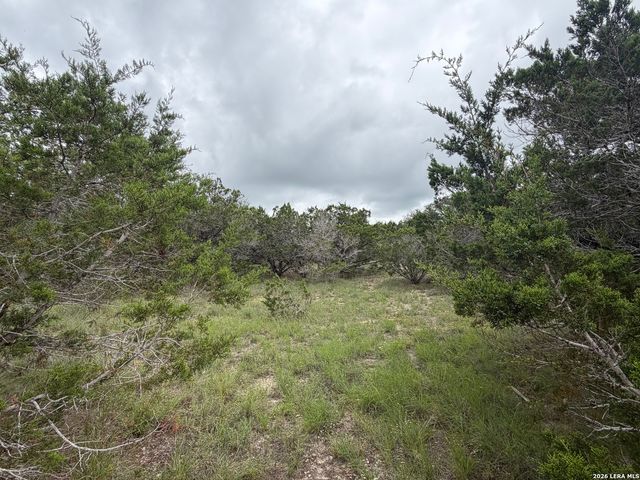 LOT 36 Cliff Dr, Spring Branch, TX 78070