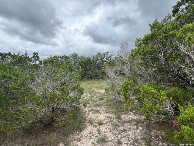 LOT 36 Cliff Dr, Spring Branch, TX 78070