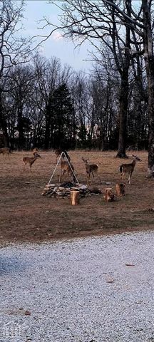 3567 Pitcher Hill Road, Mountain View, AR 72560