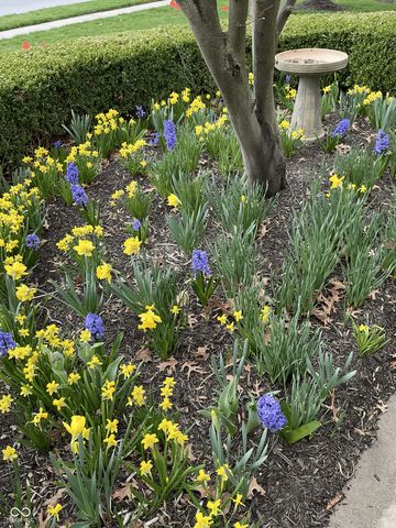 11490 Niagara Drive, Fishers, IN 46037