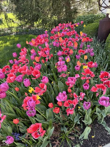 11490 Niagara Drive, Fishers, IN 46037