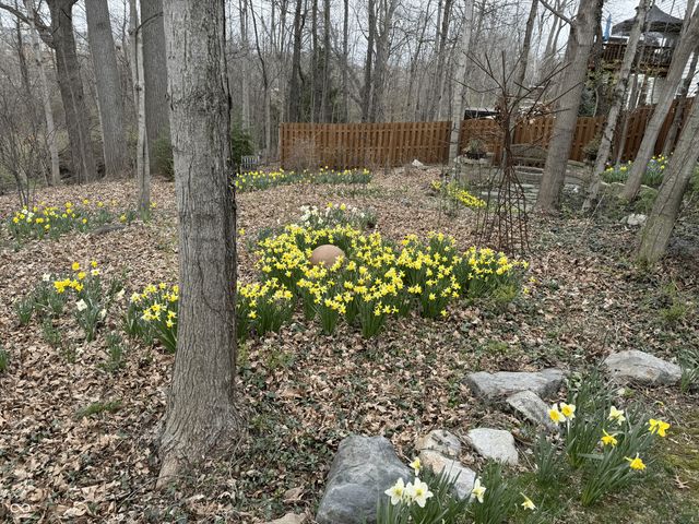 11490 Niagara Drive, Fishers, IN 46037