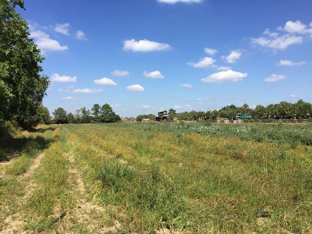 4100 Fm 2920 Road, Spring, TX 77388