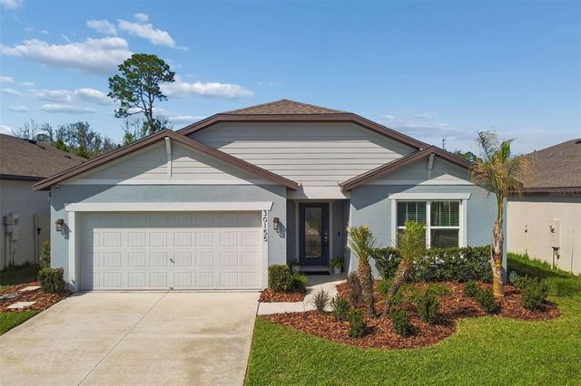 30155 MERILEE PLACE, Wesley Chapel, FL 33545
