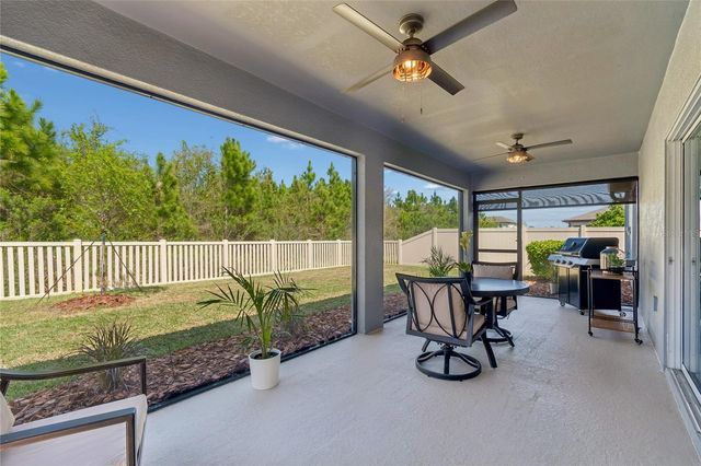 30155 MERILEE PLACE, Wesley Chapel, FL 33545