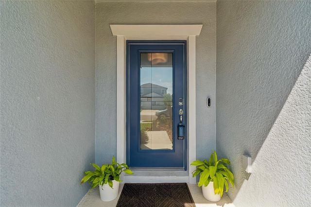 30155 MERILEE PLACE, Wesley Chapel, FL 33545