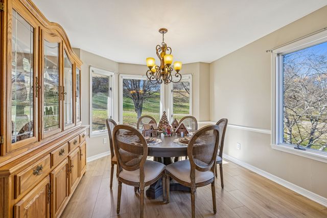 411 Mountain View Dr, Pulaski, TN 38478