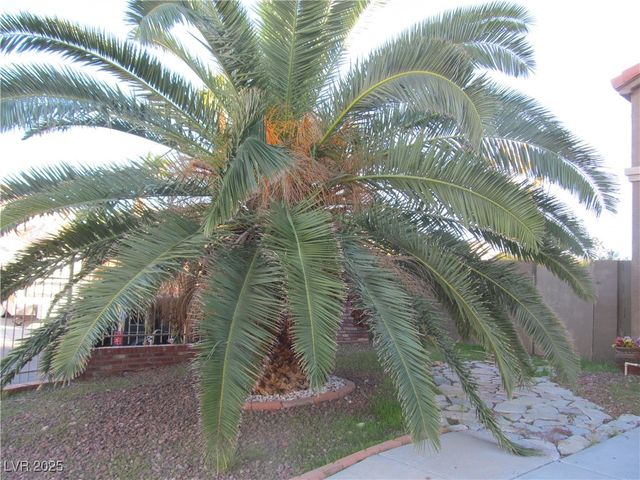 9125 Sparklewood Court, Las Vegas, NV 89129