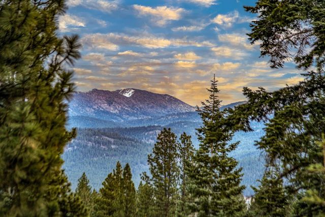 9348 Nine Bark Road, Truckee, CA 96161