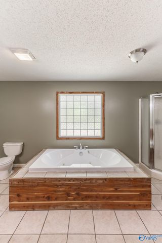 3877 US Highway 72, Paint Rock, AL 35764