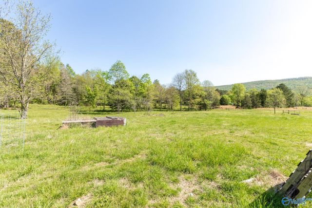 3877 US Highway 72, Paint Rock, AL 35764