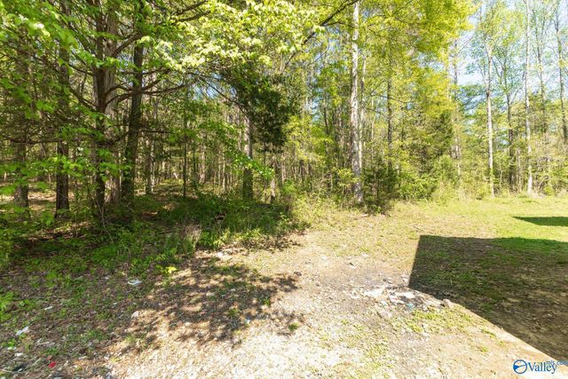 3877 US Highway 72, Paint Rock, AL 35764