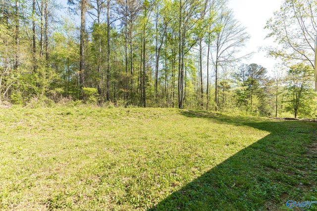 3877 US Highway 72, Paint Rock, AL 35764