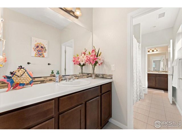 2415 Bluestem Willow Dr, Loveland, CO 80538